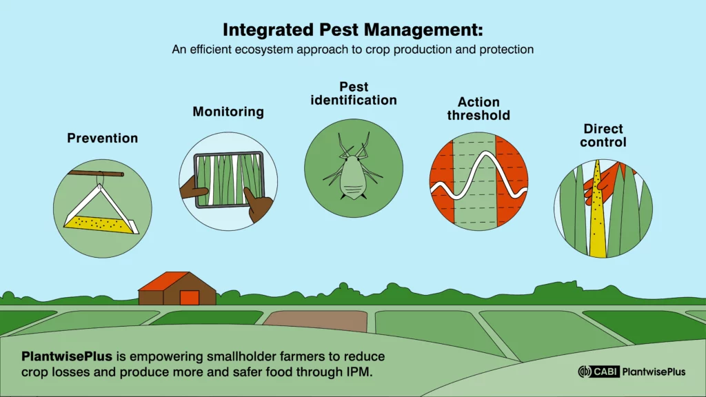 pest management