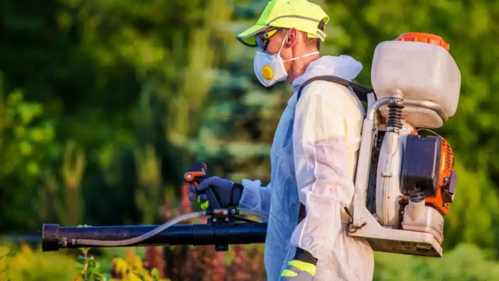 termite treatment sydney