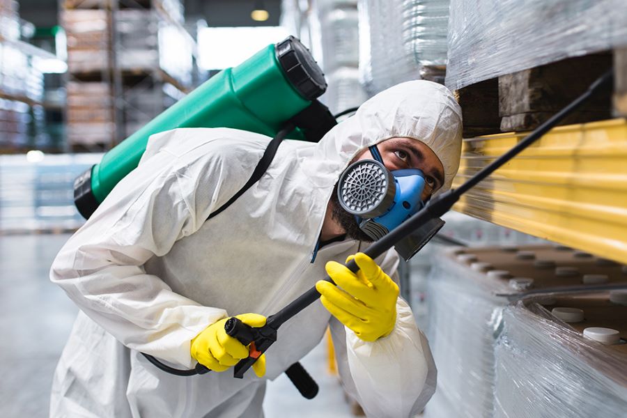 pest control pest control
